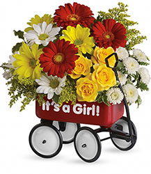 Baby's Wow Wagon - Girl from Mona's Floral Creations, local florist in Tampa, FL